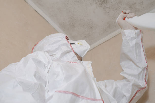 Best HVAC Mold Remediation in Charleston, MO