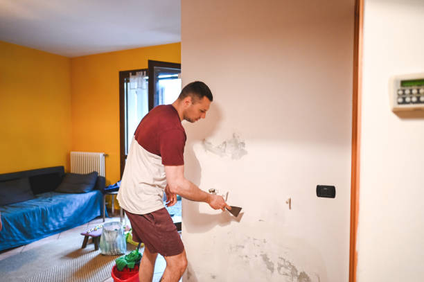 Best Kitchen Mold Remediation in Charleston, MO